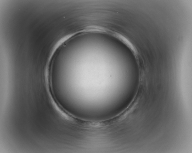 X0000114091003200910131253