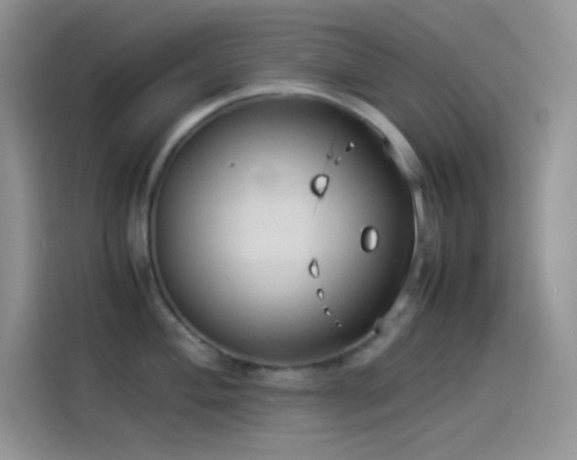 X0000114091004200910131253
