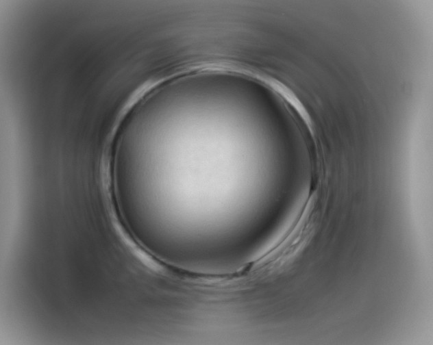 X0000114091005200910131253