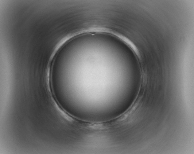 X0000114091006200910131252
