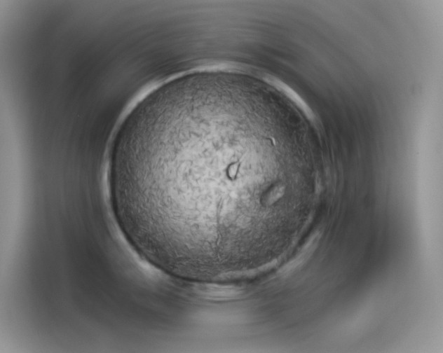 X0000114091007200910131252