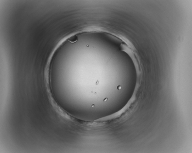 X0000114091008200910131252
