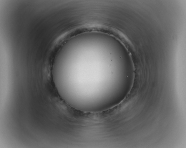 X0000114091016200910131252