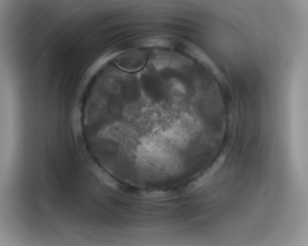 X0000114091019200910131252