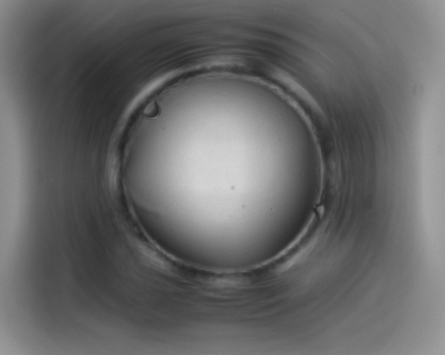 X0000114091021200910131252