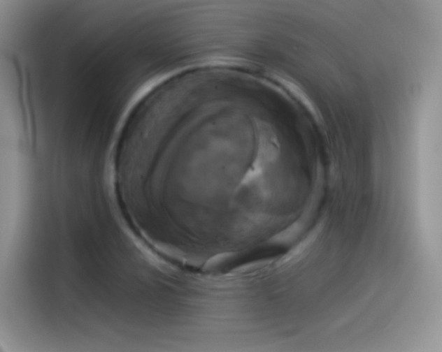 X0000114091024200910131252