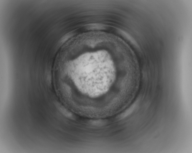 X0000114091025200910131252
