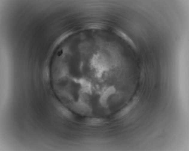 X0000114091027200910131252