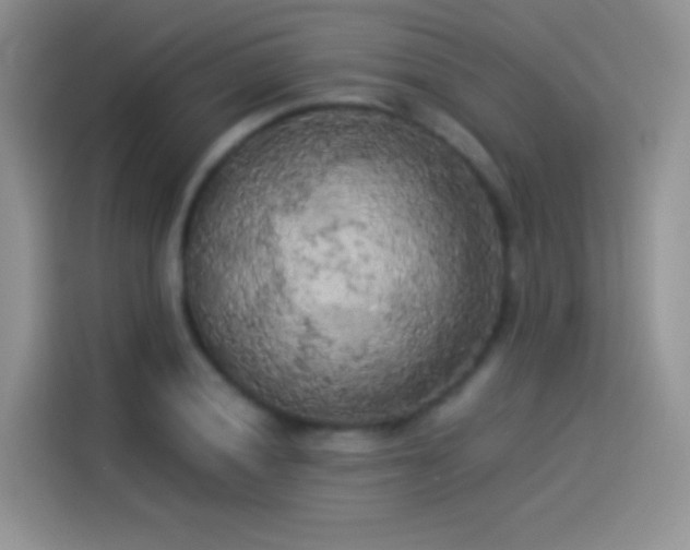 X0000114091028200910131252