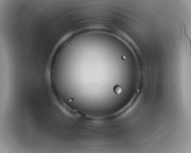 X0000114091029200910131252