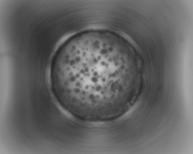X0000114091030200910131252