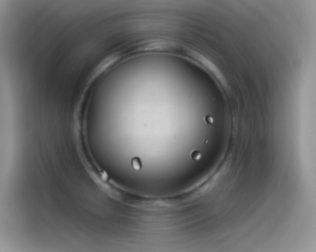 X0000114091042200910131252