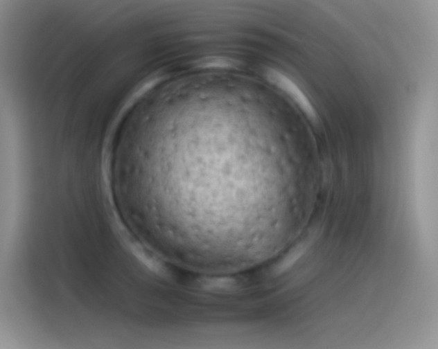 X0000114091043200910131252