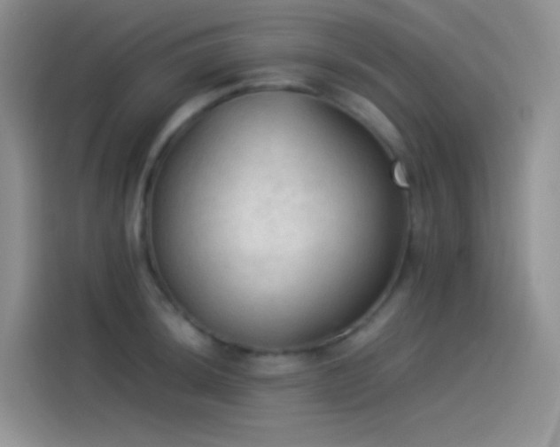 X0000114091044200910131252