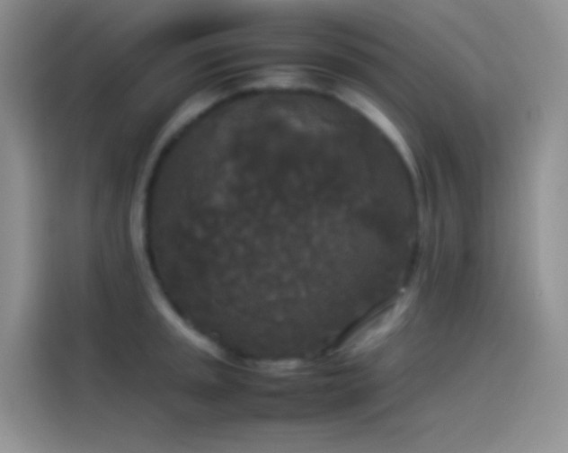X0000114091045200910131252