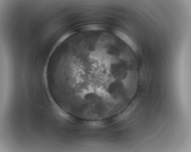 X0000114091047200910131252