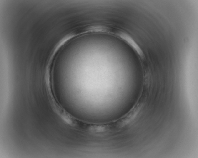 X0000114091051200910131252