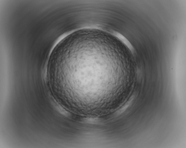 X0000114091052200910131252