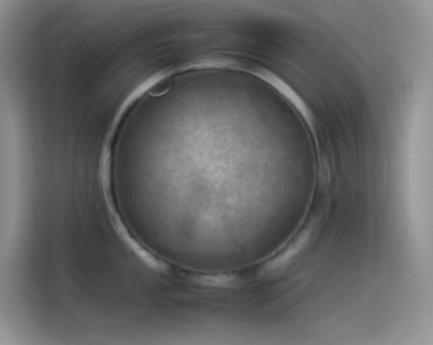 X0000114091053200910131252
