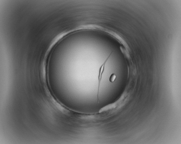 X0000114091054200910131252