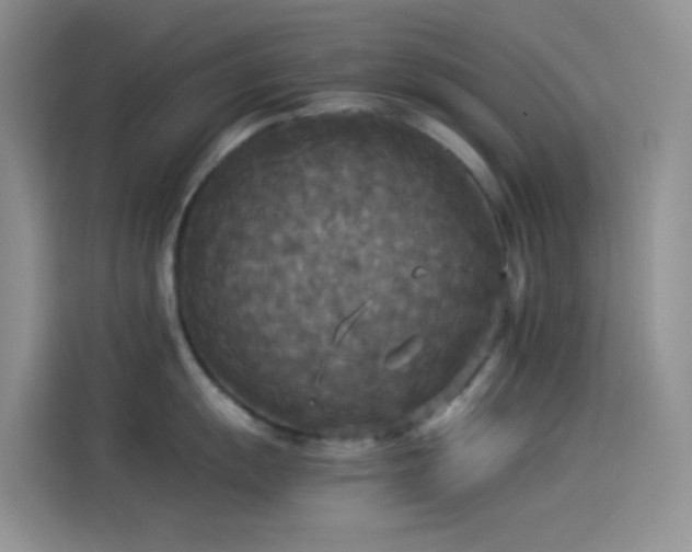 X0000114091055200910131252