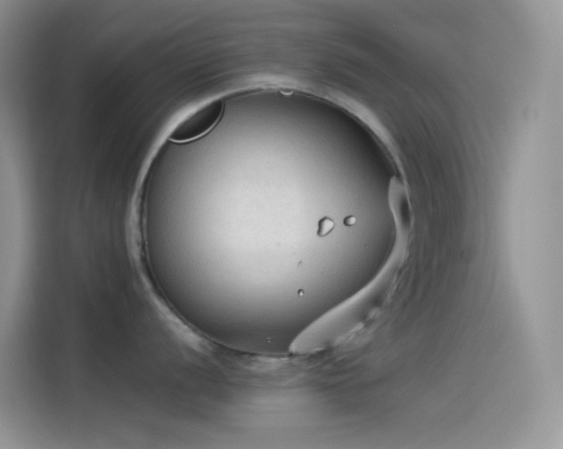 X0000114091056200910131252