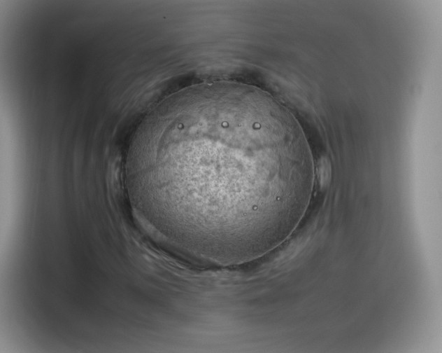 X0000114091059200910131252