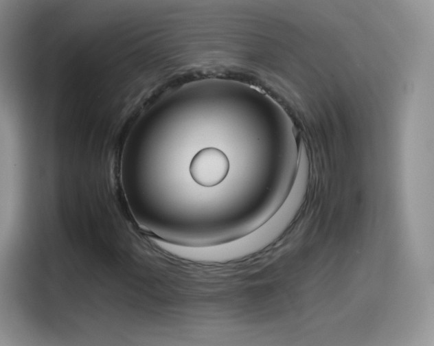 X0000114091060200910131252