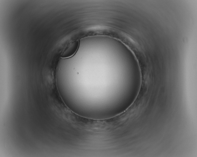 X0000114091062200910131252