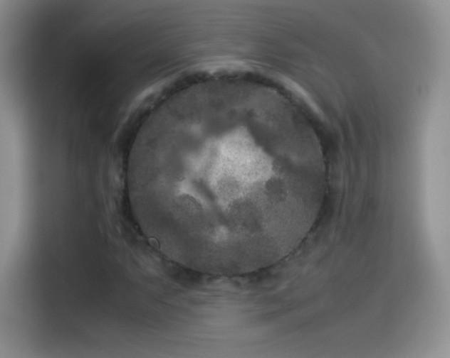 X0000114091063200910131252