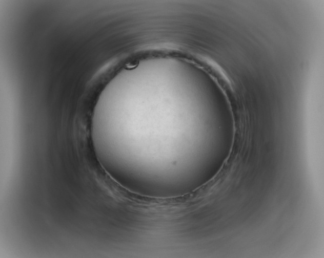 X0000114091064200910131252