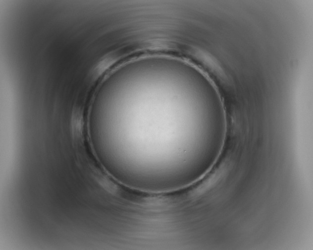 X0000114091065200910131252