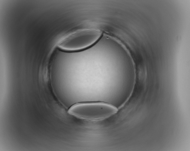X0000114091069200910131252