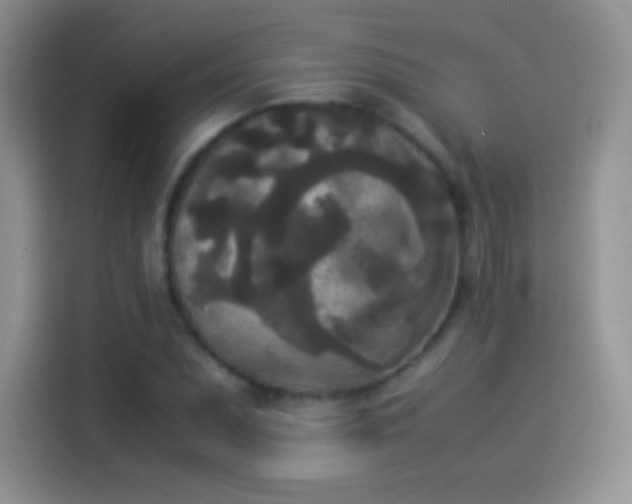 X0000114091071200910131252