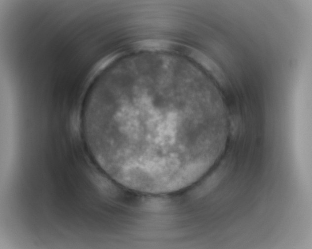 X0000114091074200910131252