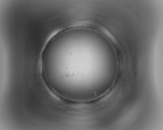 X0000114091079200910131252