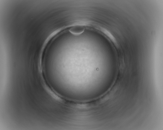 X0000114091080200910131252