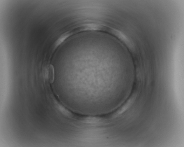 X0000114091081200910131252
