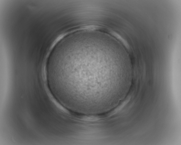 X0000114091083200910131251