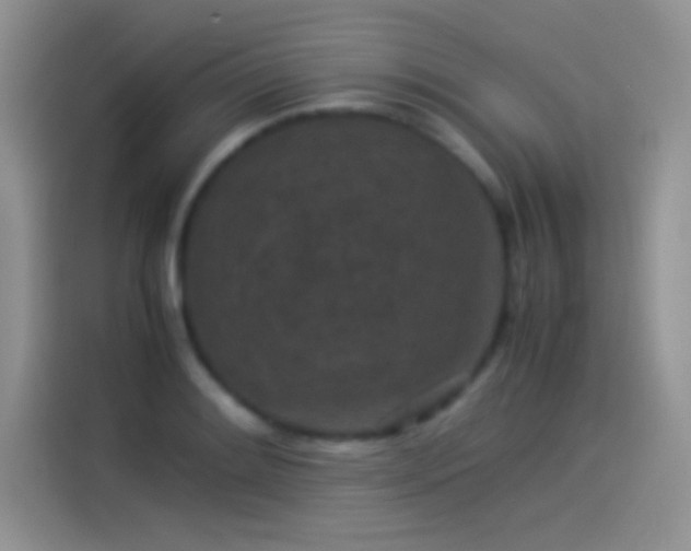 X0000114091084200910131251