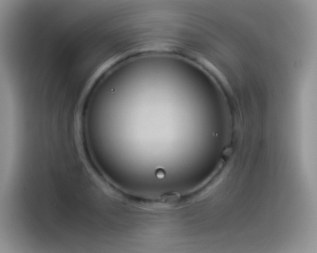 X0000114091085200910131251