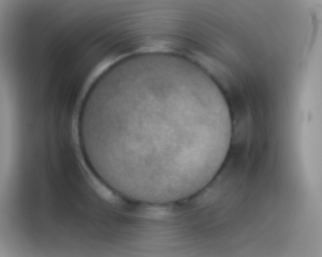 X0000114091086200910131251
