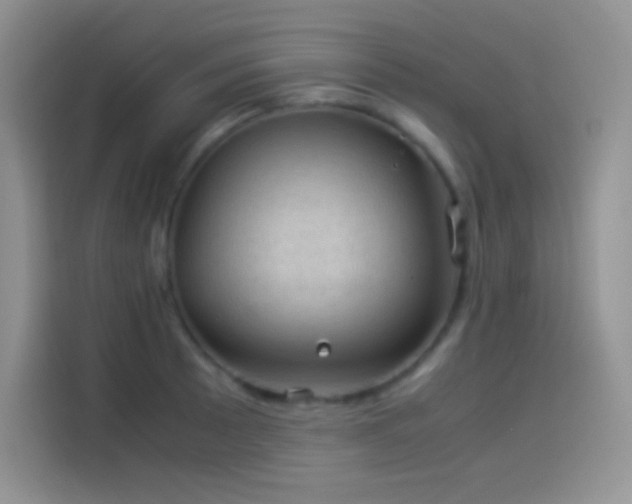 X0000114091089200910131251