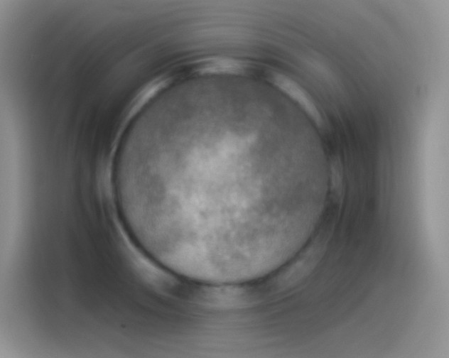 X0000114091090200910131251