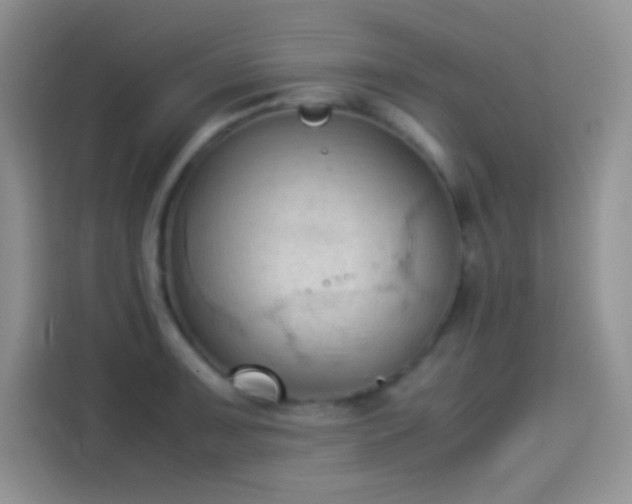 X0000114091091200910131251
