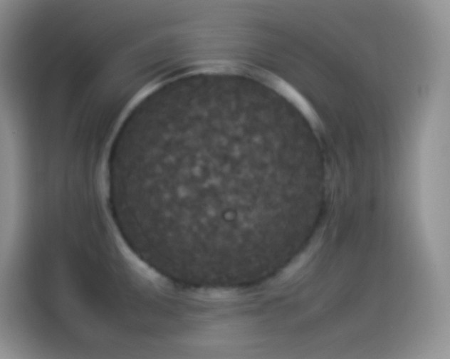 X0000114091095200910131251