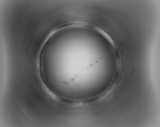 X0000114091099200910131251