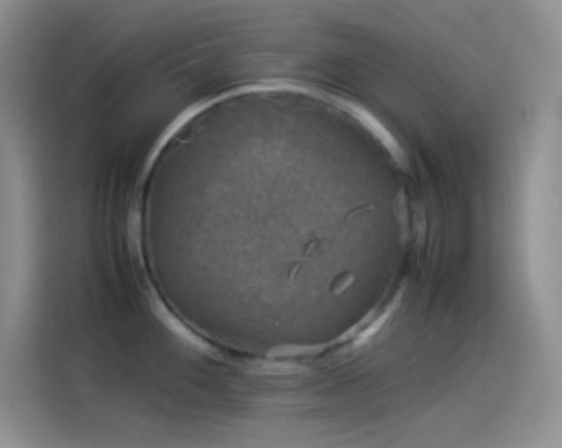 X0000114091100200910131251