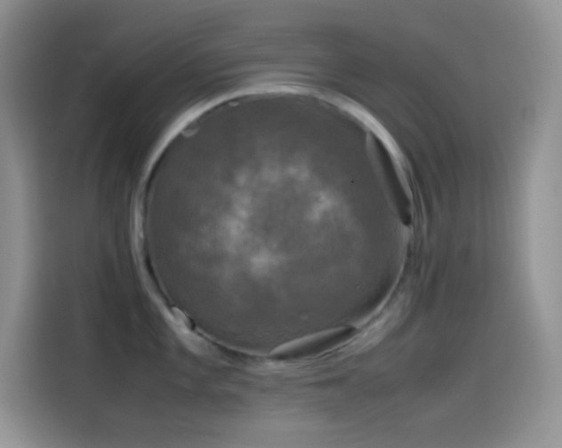 X0000114091101200910131251