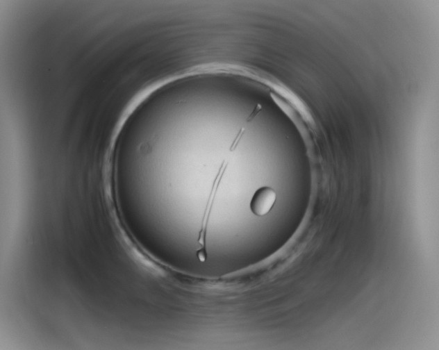 X0000114091102200910131251